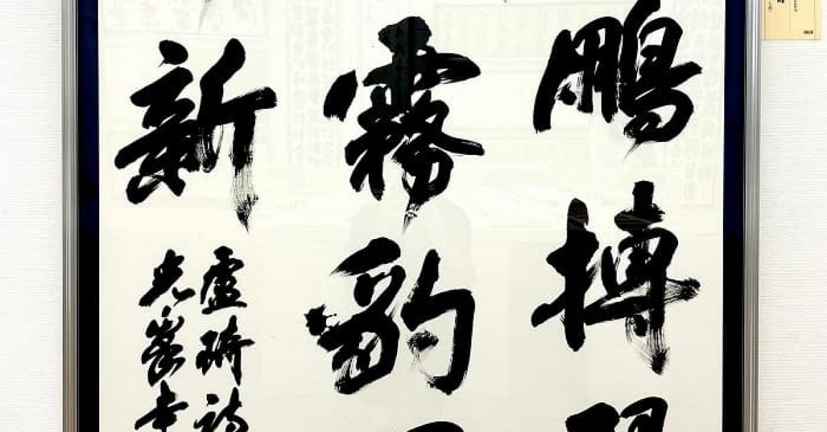 Amazon.co.jp: 雄山閣 書道学習帖まとめて 11冊セット : おもちゃ