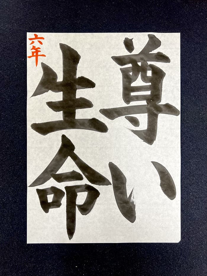 【書道/習字】「尊い生命」の書き方とコツ＆お手本（毛筆・大筆・楷書）②