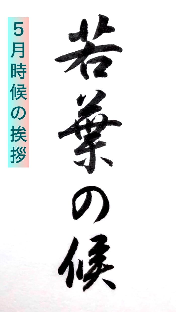 【書道/習字】「若葉の候」の書き方とコツ＆お手本（毛筆・小筆）