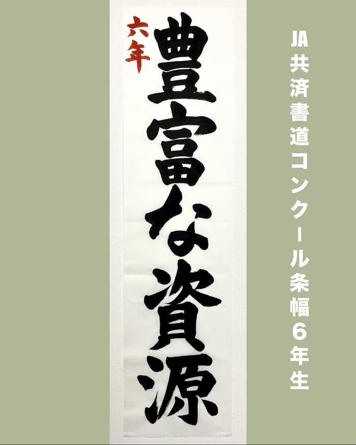 【書道/習字】「豊富な資源」の書き方とコツ＆お手本（毛筆・楷書）