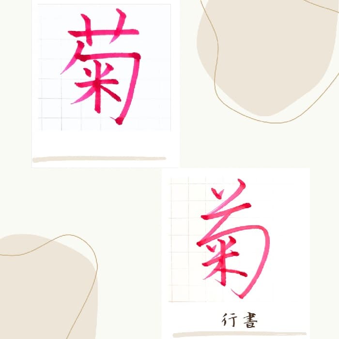 【硬筆・ペン習字】「菊」（楷書と行書）の書き方と練習のコツ・見本＆お手本（ボールペン字/書道）