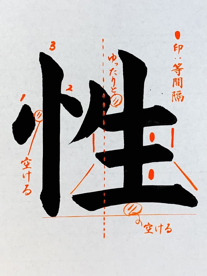【書道/習字】「性」の書き方とコツ＆お手本（毛筆・大筆・楷書）①