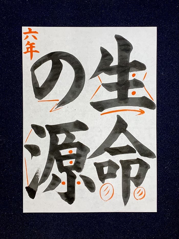 【書道/習字】「生命の源」の書き方とコツ&お手本(毛筆・大筆・楷書)②