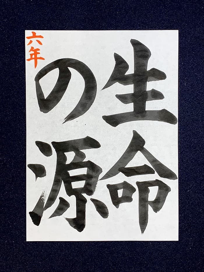 【書道/習字】「生命の源」の書き方とコツ&お手本(毛筆・大筆・楷書)①