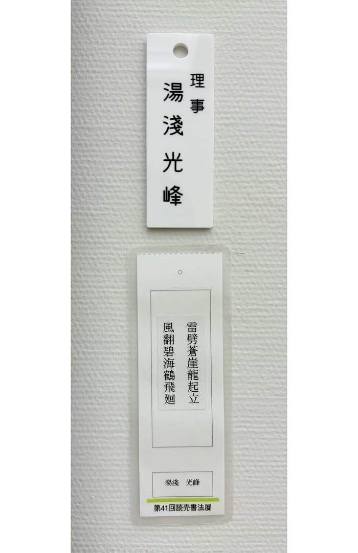 第41回 読売書法展（2025年）湯淺の出品作品「雷と風」③