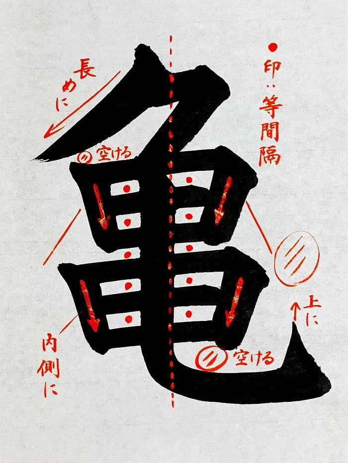 【書道/習字】「亀」の書き方とコツ&お手本(毛筆・大筆・楷書)①